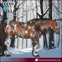 Horse Color:White Spotted Smoky Black  and White Spotted Bay 