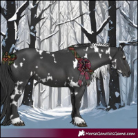 Horse Color:White Spotted Black 