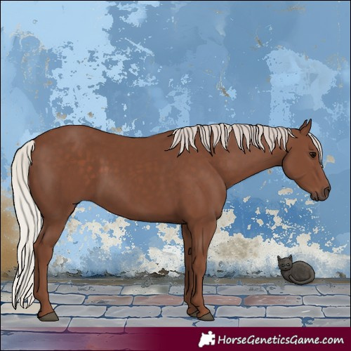 Horse Color:Silver Black