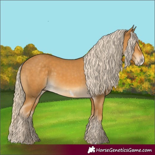 Horse Color:Palomino  and Palomino Frame 