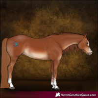 Horse Color:Chestnut  and Chestnut 