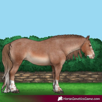 Horse Color:Chestnut Varnish  and Chestnut Splash Varnish 