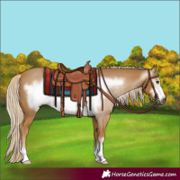 Horse Color:Gray Palomino Frame 