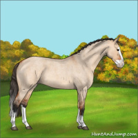 Horse Color:Bay Roan Dun Splash 