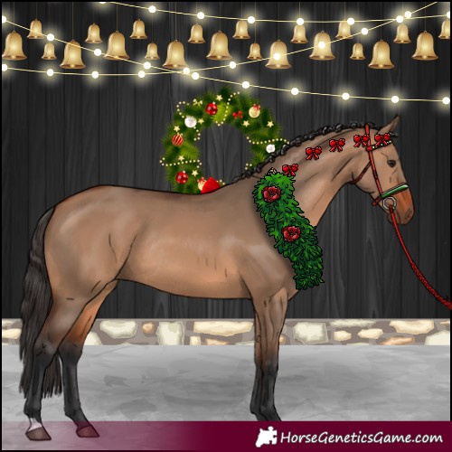 Horse Color:Bay Dun Rabicano