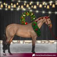 Horse Color:Bay Dun Rabicano 