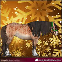 Horse Color:Bay  and Bay Dun 