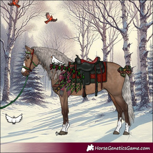 Horse Color:Silver Brown Dun 