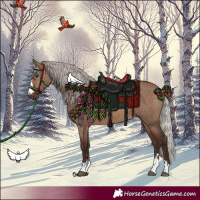 Horse Color:Silver Brown Dun 