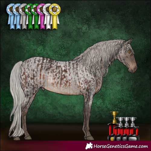 Horse Color:Silver Brown  and Silver Blue Roan 