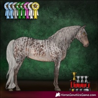 Horse Color:Silver Brown and Silver Blue Roan