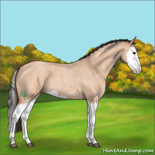 Horse Color:Bay Roan Dun Splash