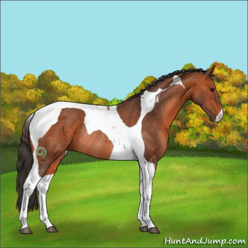 Horse Color:Bay Tobiano Rabicano
