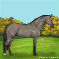 Horse Color:Smoky Grullo 
