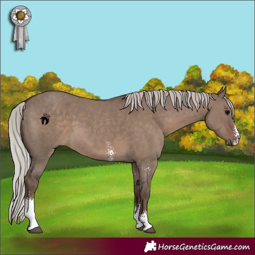 Horse Color:Silver Grullo Sabino 