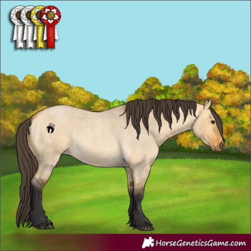 Horse Color:Buckskin Roan Dun Rabicano 