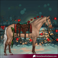 Horse Color:Silver Brown Dun 