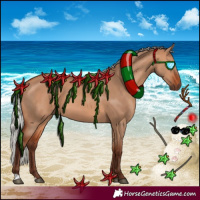 Horse Color:Silver Bay Dun 