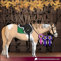 Horse Color:Gold Champagne Splash Tobiano 