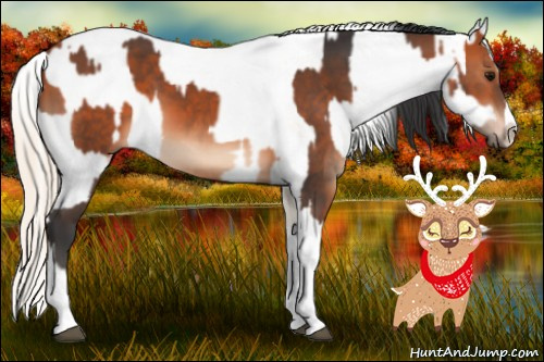 Horse Color:Bay  and Perlino Dun Sabino 