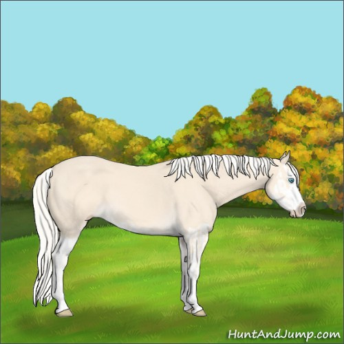 Horse Color:Cremello Splash  and Cremello Splash 