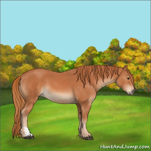 Horse Color:Chestnut  and Chestnut 