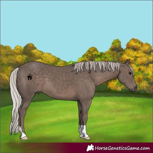 Horse Color:Silver Black 