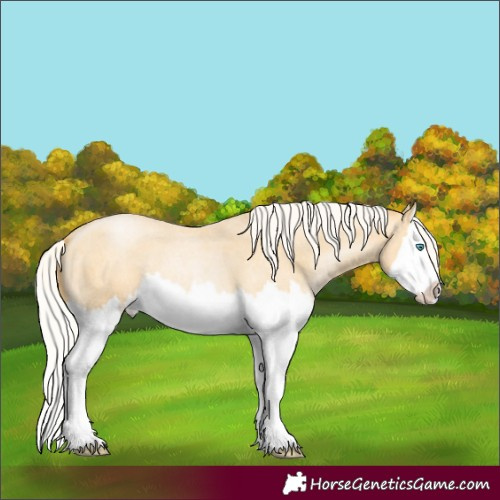 Horse Color:Silver Buckskin Roan Pearl Splash 