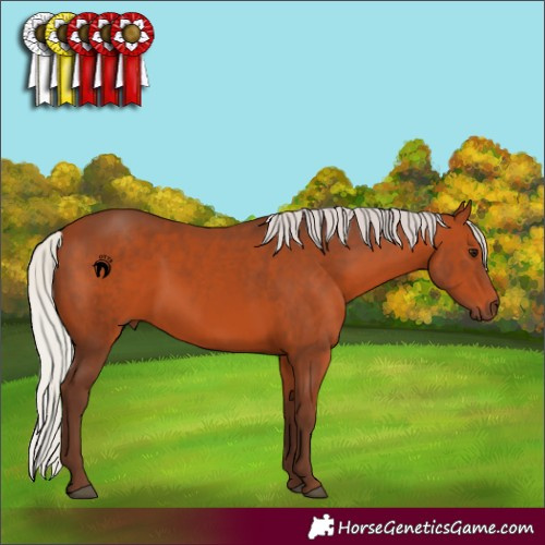 Horse Color:Silver Bay 