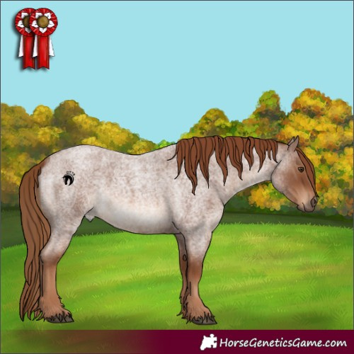 Horse Color:Red Roan 