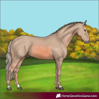 Horse Color:Watercolor Chestnut 