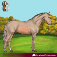 Horse Color:Watercolor Chestnut 
