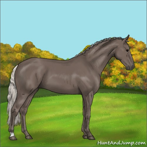 Horse Color:Silver Black 