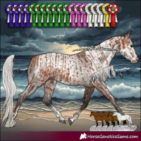 Horse Color:Silver Bay  and Gray Silver Brown Sabino 