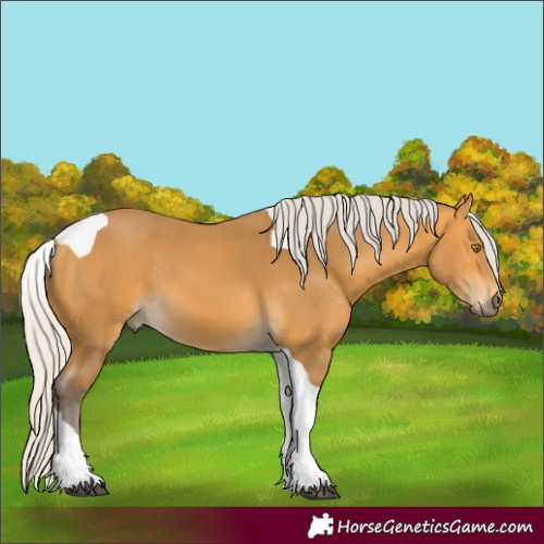 Horse Color:Silver Buckskin Tobiano