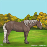 Horse Color:Silver Black 