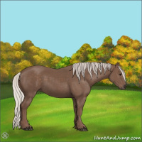 Horse Color:Silver Black 