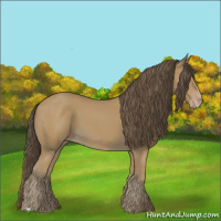 Horse Color:Classic Cream Champagne 