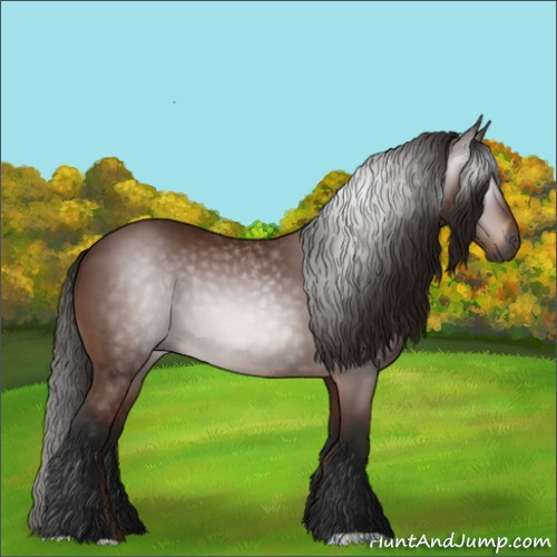 Horse Color:Gray Bay