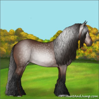 Horse Color:Gray Bay 