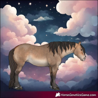 Horse Color:Bay Dun and Bay Dun Splash