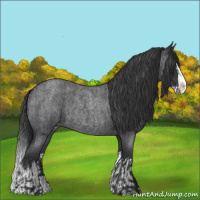 Horse Color:Blue Roan Sabino Splash  and Blue Roan Sabino Splash 