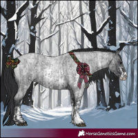Horse Color:Blue Roan Sabino  and Blue Roan Sabino 