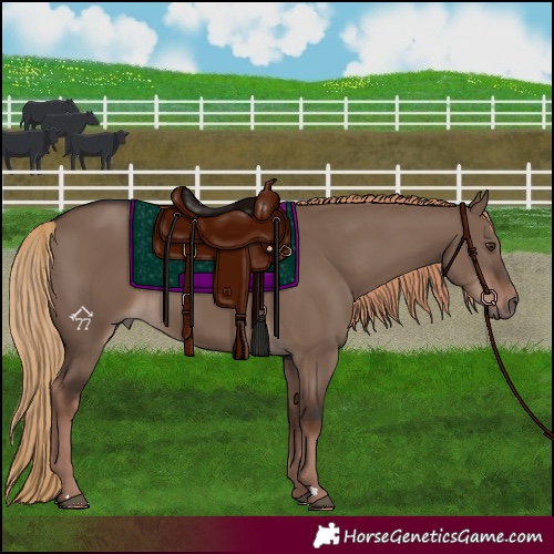 Horse Color:Liver Red Dun Rabicano 