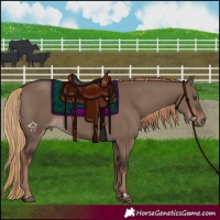 Horse Color:Liver Red Dun Rabicano