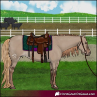 Horse Color:Liver Red Dun Rabicano 