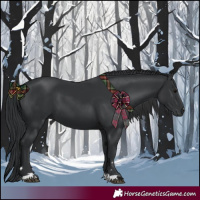 Horse Color:Black 