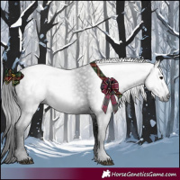 Horse Color:Gray Black 