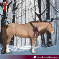 Horse Color:Amber Champagne Sabino Tobiano Varnish  and Amber Champagne Sabino Tobiano Varnish 