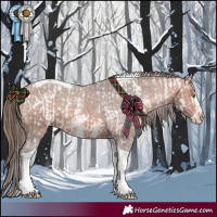Horse Color:Amber Champagne Dun Sabino Tobiano Varnish  and Bay Sabino Tobiano Varnish 
